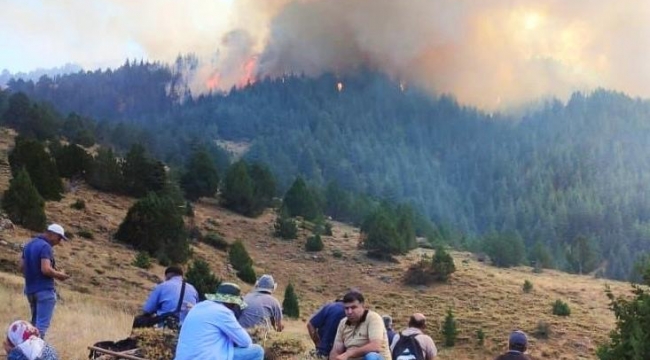 Kahramanmaraş Göksun ilçesi Kavşut mahallesindeki orman yangını kontrol altına alındı.