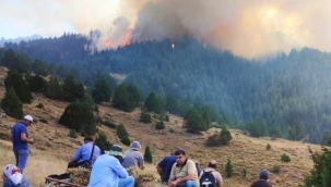 Kahramanmaraş Göksun ilçesi Kavşut mahallesindeki orman yangını kontrol altına alındı.
