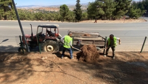 Parklar Temizleniyor, Doğa Yeniden Nefes Alıyor