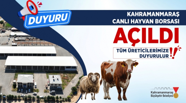 Canlı Hayvan Pazarı Açıldı