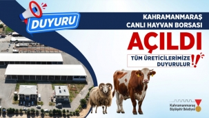 Canlı Hayvan Pazarı Açıldı