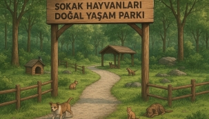 Kahramanmaraş Sahipsiz Hayvanları Koruma Birliği Kuruldu