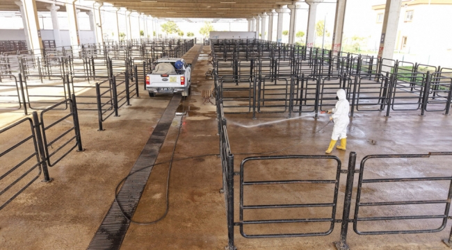 Büyükşehir'den Canlı Hayvan Pazarı'nda Halk Sağlığı İçin Kapsamlı Çalışma