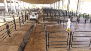 Büyükşehir'den Canlı Hayvan Pazarı'nda Halk Sağlığı İçin Kapsamlı Çalışma