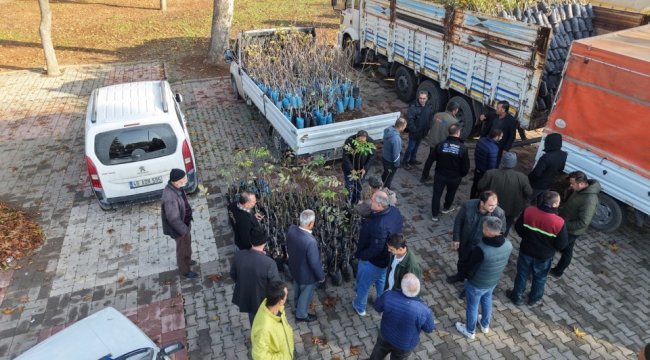 Büyükşehir'den Bin 500 Üreticiye 193 Bin Adet Fidan Desteği