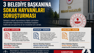 İÇİŞLERİ BAKANLIĞI'NDAN 3 BELEDİYE BAŞKANINA SOKAK HAYVANLARI SORUŞTURMASI