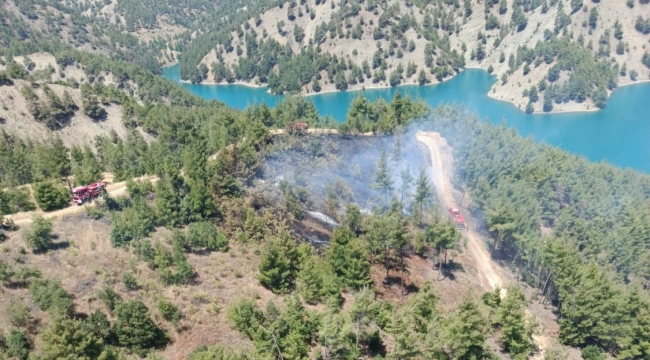 KAHRAMANMARAŞ'TA ORMAN YANGINI KONTROL ALTINA ALINDI
