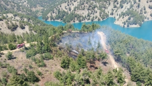 KAHRAMANMARAŞ'TA ORMAN YANGINI KONTROL ALTINA ALINDI