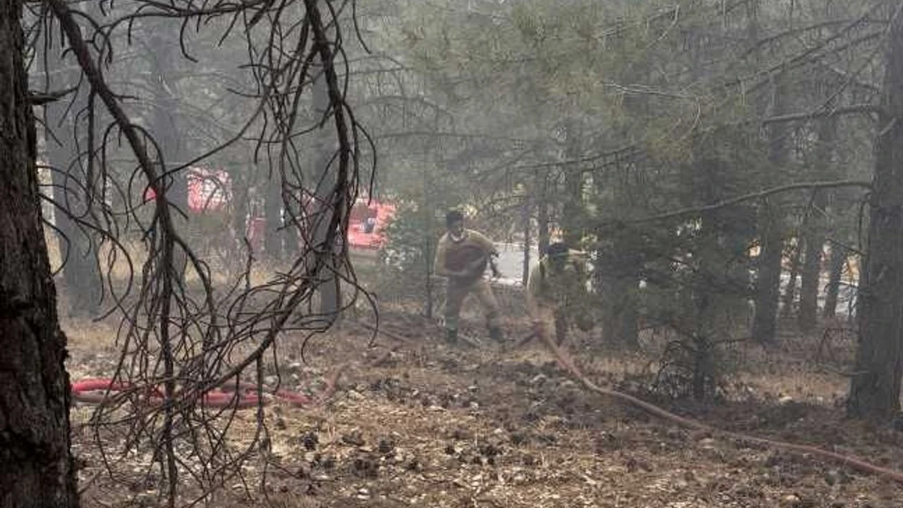 Kahramanmaraş'ta 8 farklı alanda çıkan orman yangınları söndürüldü