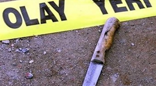 Kahramanmaraş'ta Parkta Bıçaklı Dehşet: 2 Kişi Yaralandı